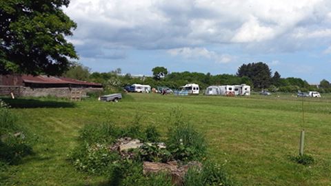 Campsites In The Uk That Allow Dogs Campsites In The Uk That Allow Dogs