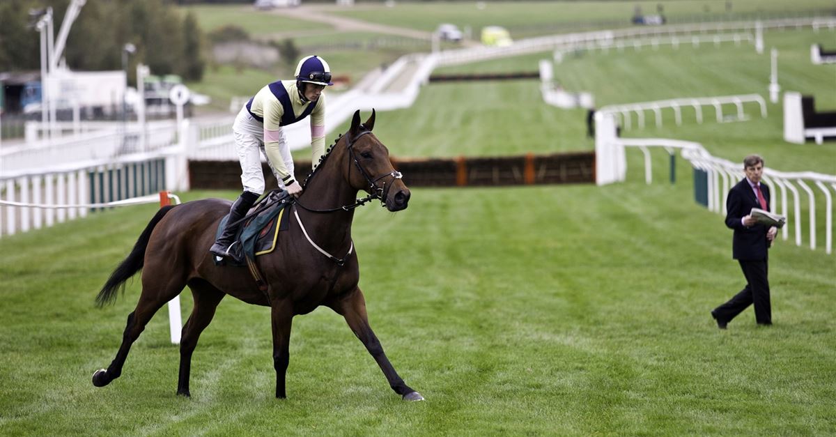 The Best Racecourses To Visit In The Uk vrogue.co