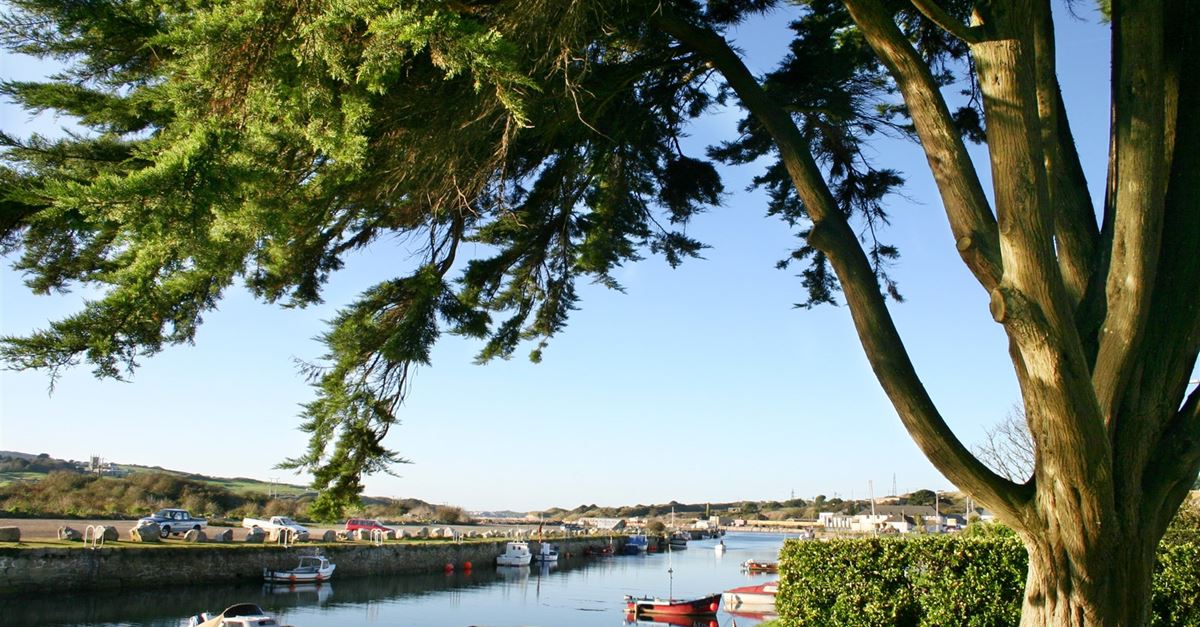 Dog Friendly Campsites Hayle Cornwall Dog Friendly Campsites Hayle Cornwall