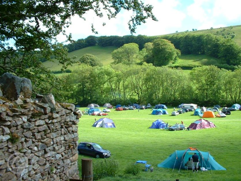 Dog Friendly B B Somerset Dog Friendly B B Somerset