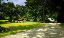 Ashurst Campsite