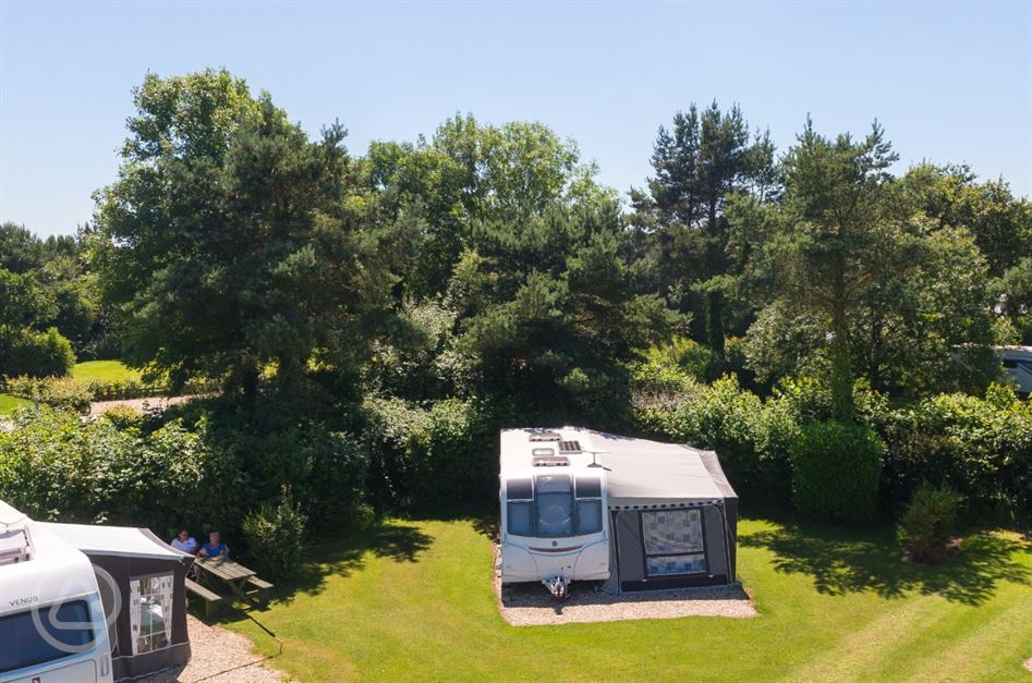 Dog Friendly Places Near Sidmouth Dog Friendly Places Near Sidmouth