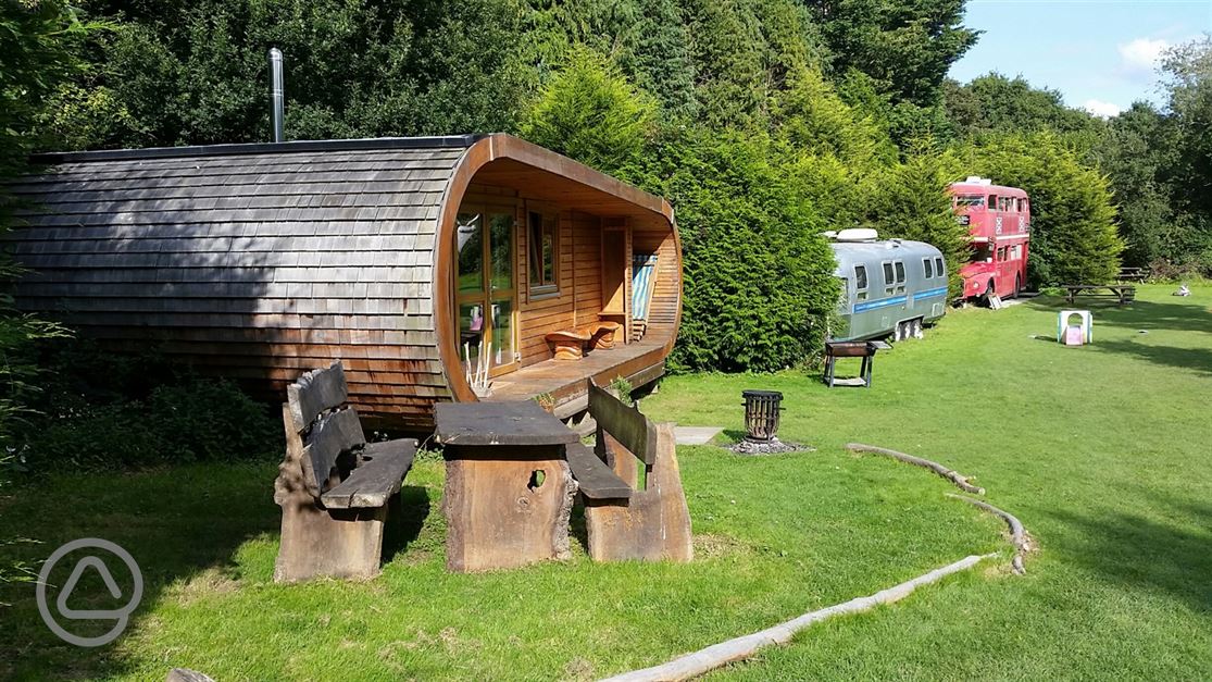 Blackberry Wood in Ditchling, East Sussex