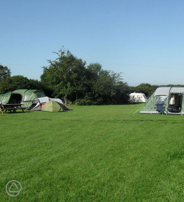Dog Friendly Campsites In Devon Dog Friendly Campsites In Devon