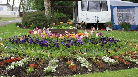 Child And Dog Friendly Campsites Child And Dog Friendly Campsites