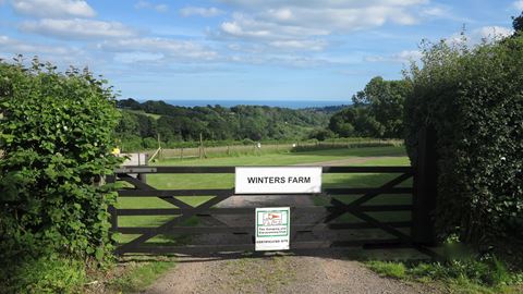 Dog Friendly Campsites Near Lyme Regis Dog Friendly Campsites Near Lyme Regis