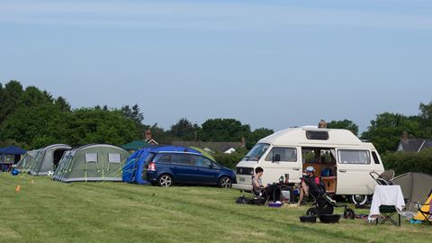 Dog Friendly Campsites Hampshire Dog Friendly Campsites Hampshire