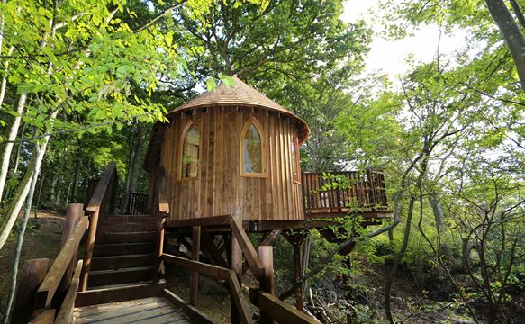 Treehouse holidays in the UK | Treehouse glamping